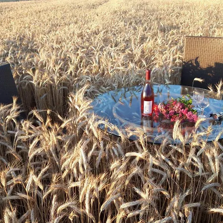 Ein Bett Im Kornfeld - Haus Morgensonne - Mit Innenpool *
